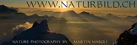 Naturbild